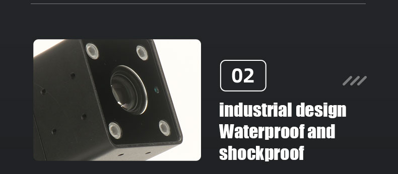 IP102+D20 (13)